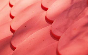 Cleat plastic roof costs