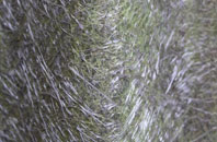 Cleat fibreglass roof work